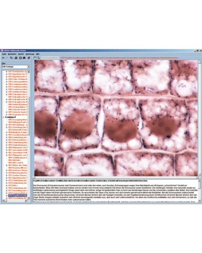 Cytology and Molecular Biology, Interactive CD-ROM